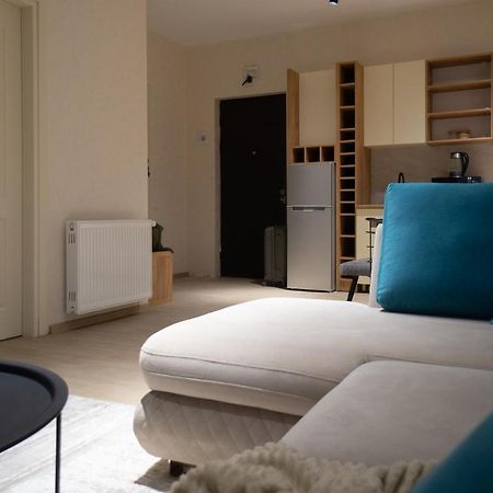 Zarku Apartments バクリアニ エクステリア 写真
